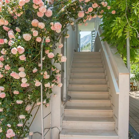 10251a Appartement *